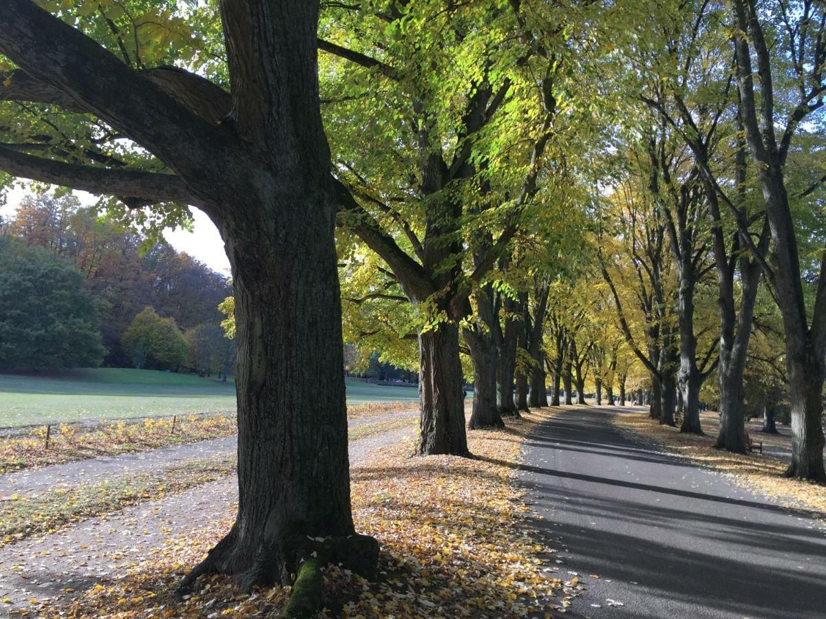 Suite Mit Blick Auf Die Lichtentaler Allee Baden-Baden Ngoại thất bức ảnh