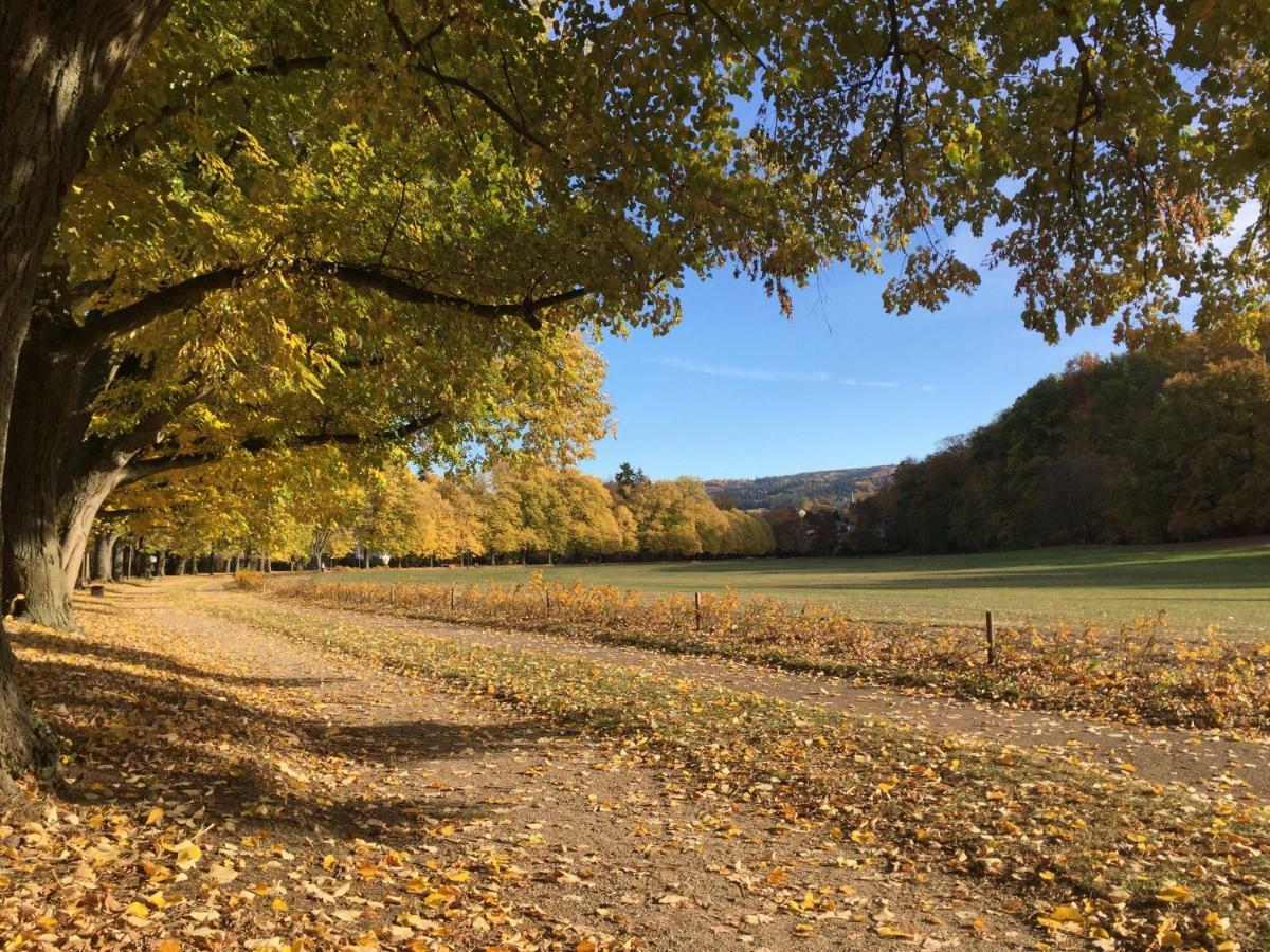 Suite Mit Blick Auf Die Lichtentaler Allee Baden-Baden Ngoại thất bức ảnh